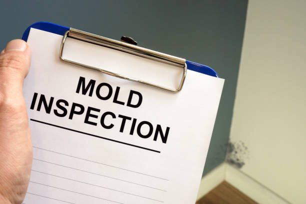 Asbestos and Lead Testing During Mold Inspection in Houston, PA